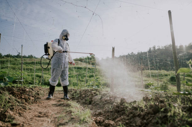 Best Commercial Pest Control Services  in Dover, TN