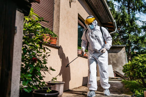 Best Local Pest Control Services  in Dover, TN