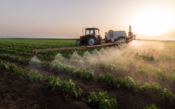 Best Commercial Pest Control Services  in Dover, TN