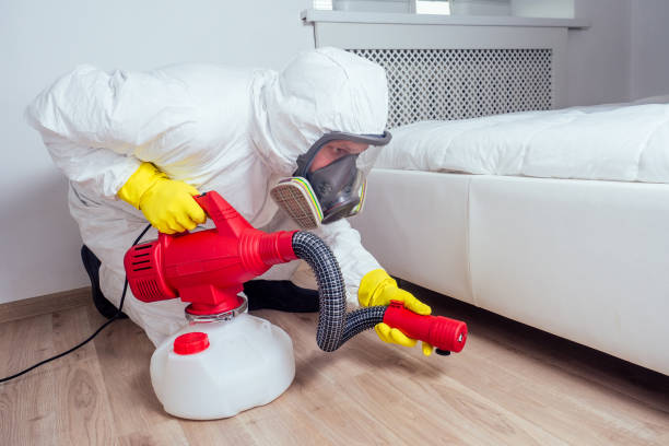 Best Best Pest Control Companies  in Dover, TN