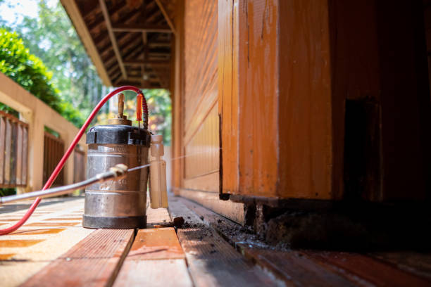 Best Termite Control Services  in Dover, TN